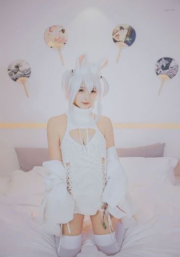 成全高清视频免费观看动画