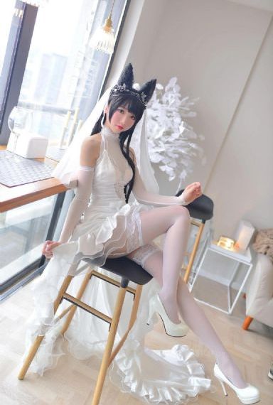父母全家儿女大联欢第12集