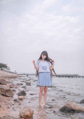 2024最火电视剧免费观看
