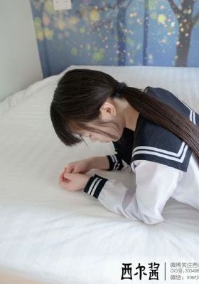 海贼王动画