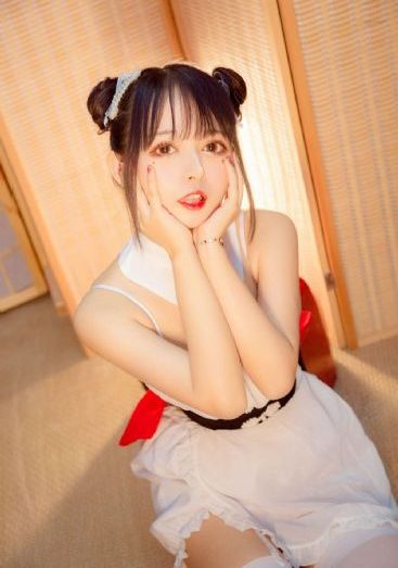 大宋提刑官演员表