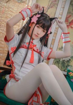 疯狂动物城国语版